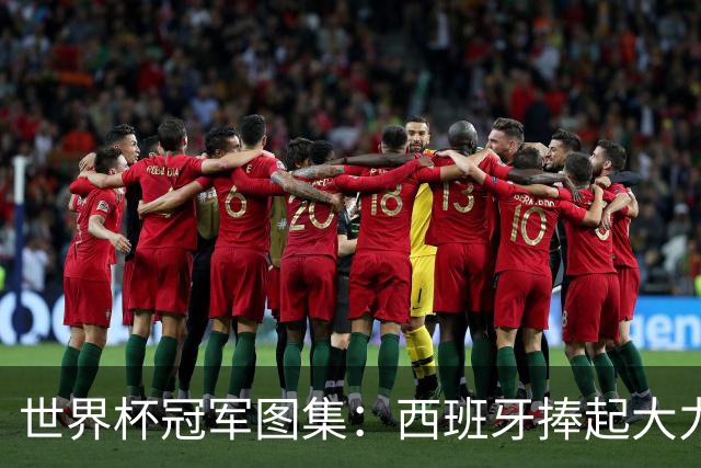 世界杯冠军图集：西班牙捧起大力神杯！