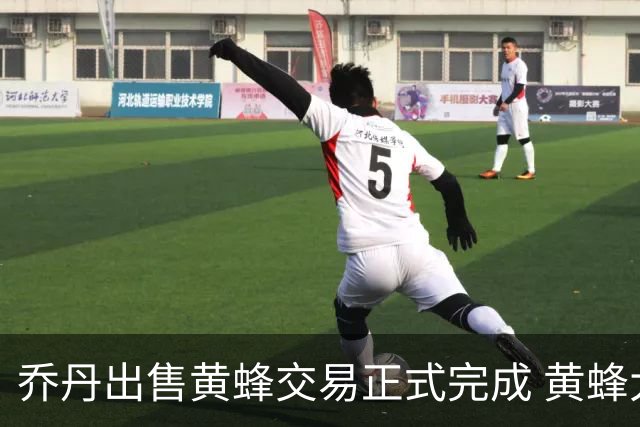 乔丹出售黄蜂交易正式完成 黄蜂大老板易主