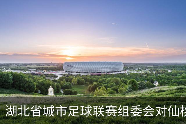 湖北省城市足球联赛组委会对仙桃队、黄石队作出处罚