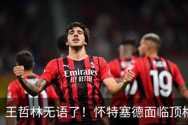 王哲林无语了！怀特塞德面临顶格处罚，球迷要求收回上海总冠军