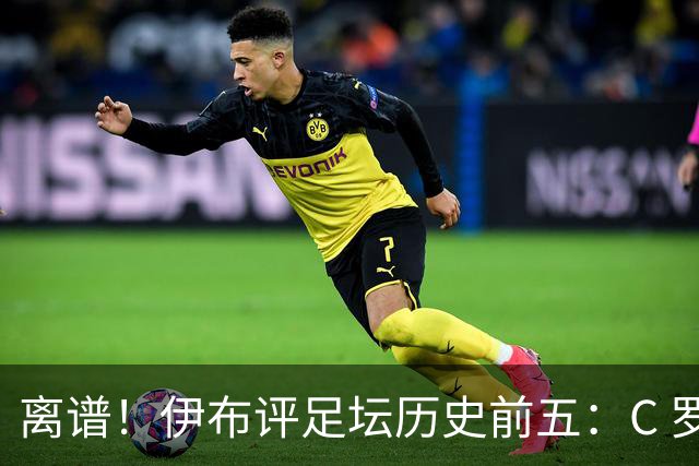 离谱！伊布评足坛历史前五：C 罗落选，梅西无缘第一