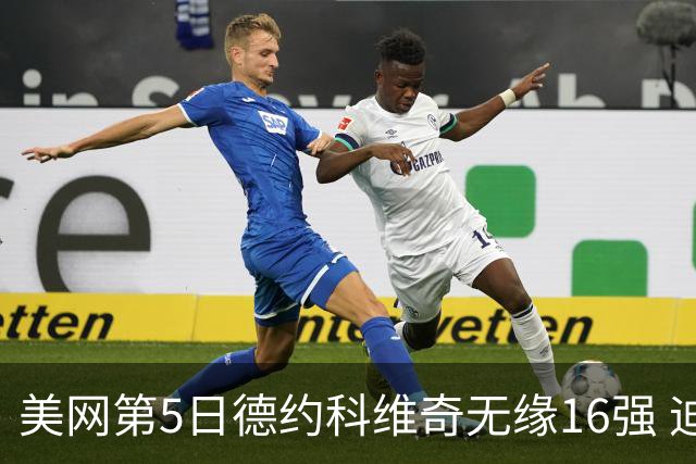 美网第5日德约科维奇无缘16强 迪米卢布列夫会师