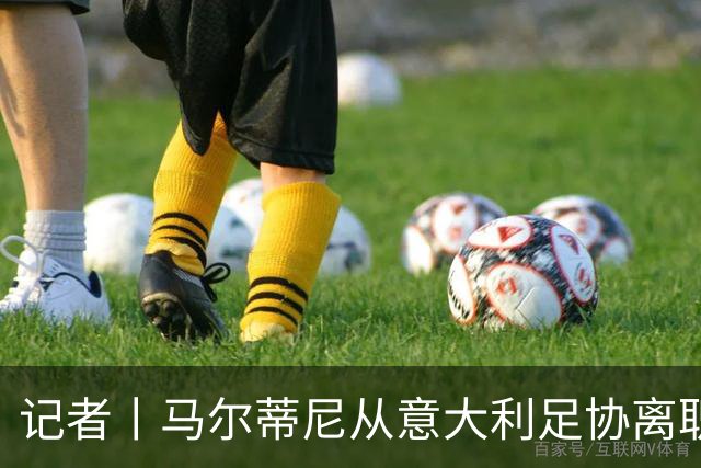 记者丨马尔蒂尼从意大利足协离职的内幕